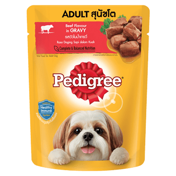 Pets